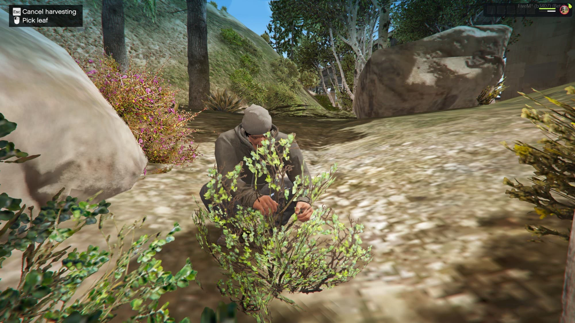 Chamly Drugs - Slide 3